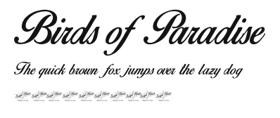 Birds of Paradise.ttf