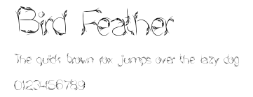 Bird Feather Preview