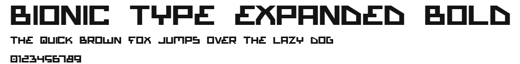 Bionic Type Expanded Bold.ttf