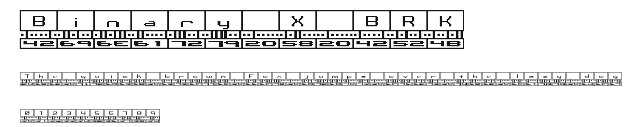 Binary X BRK.ttf
