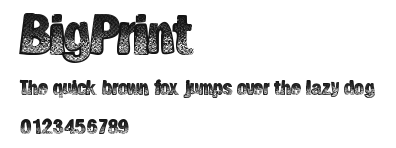 BigPrint Preview