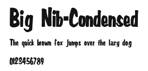 Big Nib-Condensed Preview
