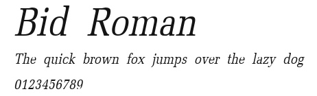 Bid Roman.ttf