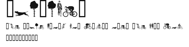 Bicycles Preview