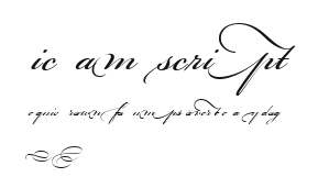 Bickham Script MM Preview