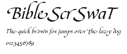 BibleScrSwaT Preview