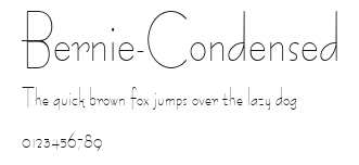 Bernie-Condensed Preview