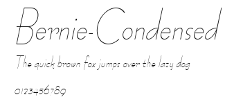 Bernie-Condensed Preview