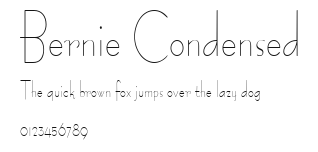 Bernie Condensed Preview