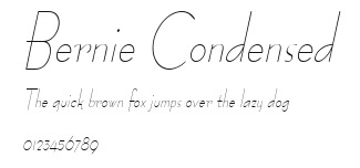 Bernie Condensed Preview