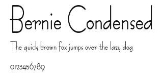Bernie Condensed Preview