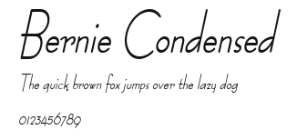 Bernie Condensed Preview