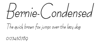 Bernie-Condensed Preview