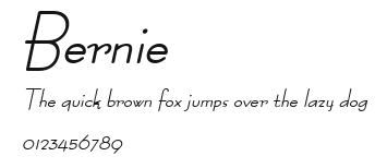 Bernie Preview