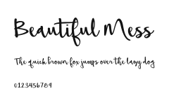 Beautiful Mess.ttf