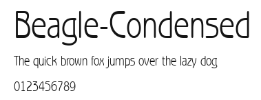 Beagle-Condensed Preview