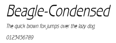 Beagle-Condensed.ttf