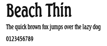 Beach Thin.ttf