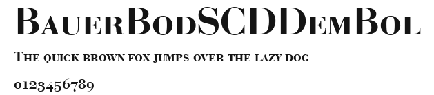 BauerBodSCDDemBol.ttf