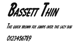 Bassett Thin.ttf