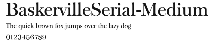 BaskervilleSerial-Medium.ttf