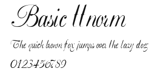 Basic ttnorm.ttf