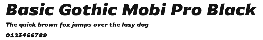 Basic Gothic Mobi Pro Black.ttf