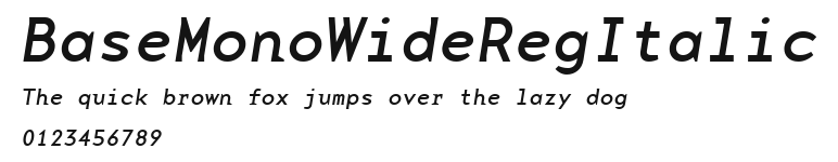 BaseMonoWideRegItalic.ttf