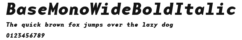 BaseMonoWideBoldItalic.ttf