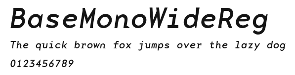 BaseMonoWideReg.ttf