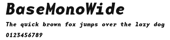 BaseMonoWide.ttf