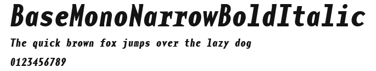 BaseMonoNarrowBoldItalic.ttf