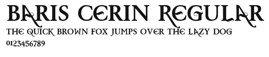 Baris Cerin Regular.ttf