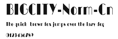 BIGCITY-Norm-Cn.ttf