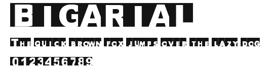 BIGARIAL.ttf