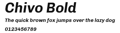 Chivo Bold Preview