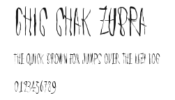 Chic chak zubra Preview
