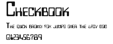 Checkbook Preview