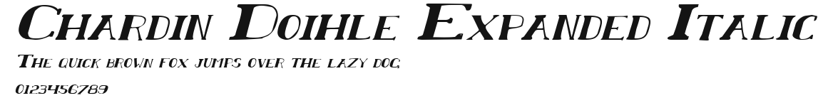 Chardin Doihle Expanded Italic Preview