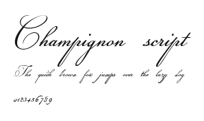 Champignon script Preview