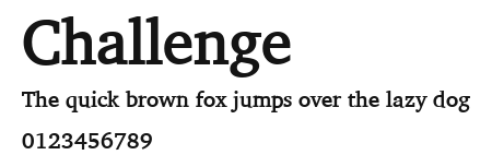 Challenge Preview