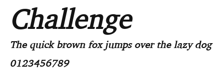 Challenge Preview