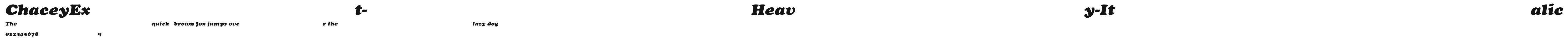 ChaceyExt-Heavy-Italic Preview