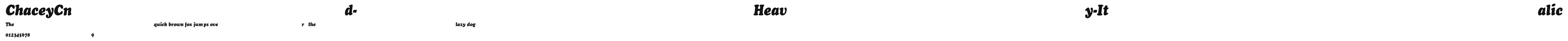 ChaceyCnd-Heavy-Italic Preview