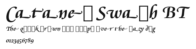 Cataneo Swash BT Preview