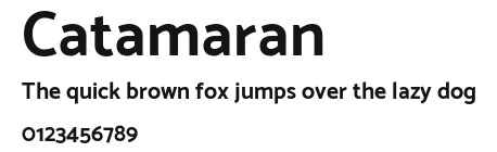 Catamaran Preview