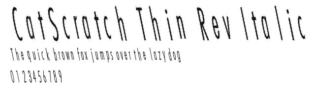 CatScratch Thin Rev Italic Preview