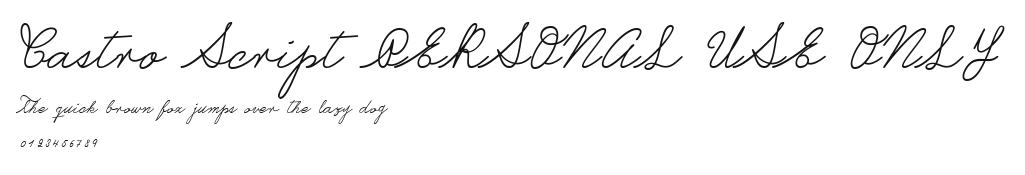 Castro Script PERSONAL USE ONLY Preview