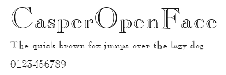 CasperOpenFace Preview
