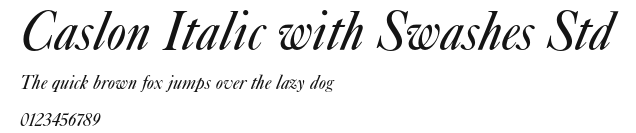 Caslon Italic with Swashes Std Preview